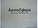 Колпачок (Dong Feng/ДонгФенг) A2303058