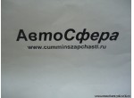 Знак мощности — 300 л.с. (Dong Feng/Донг Фенг) 5000711-C0106