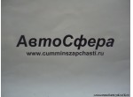 Винт самонарезной (DongFeng/ДонгФенг) RQ2700516A-Z5